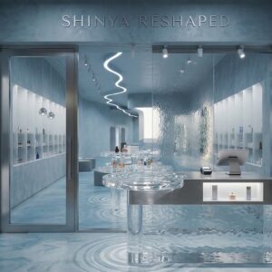 Alternative view of Shinya Resonance Lab