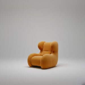 Cocoon Nest Chair