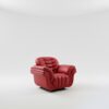 Pleura Lounge Chair